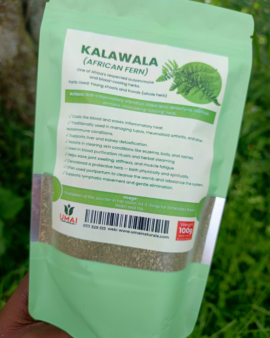 Kalawala (African fern)