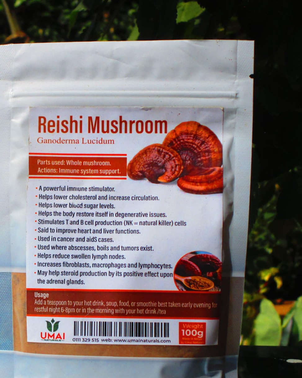 Reishi Mushrooms