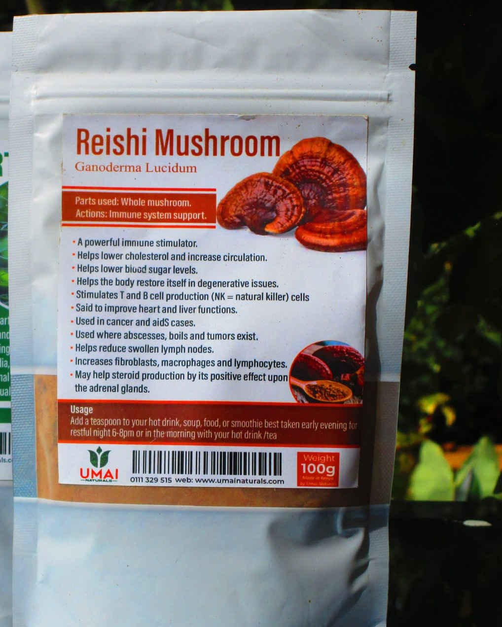Reishi Mushrooms
