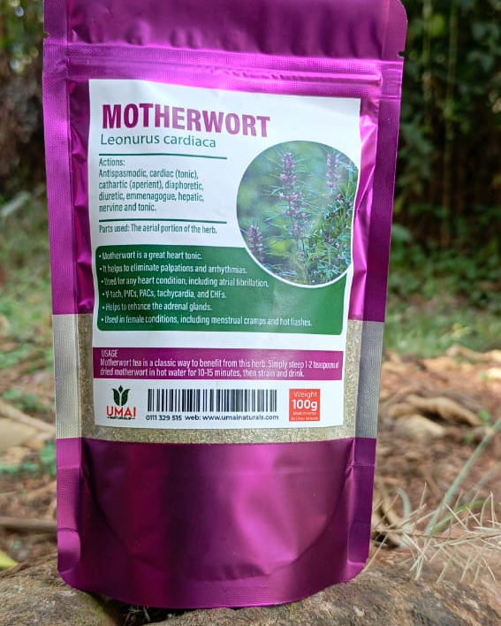 Motherwort
