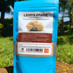 LionsMane Mushroom