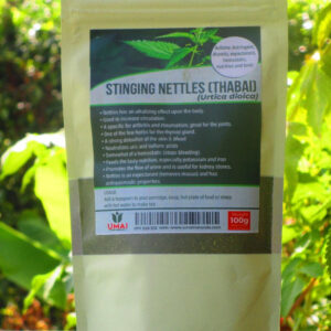 Stinging nettle