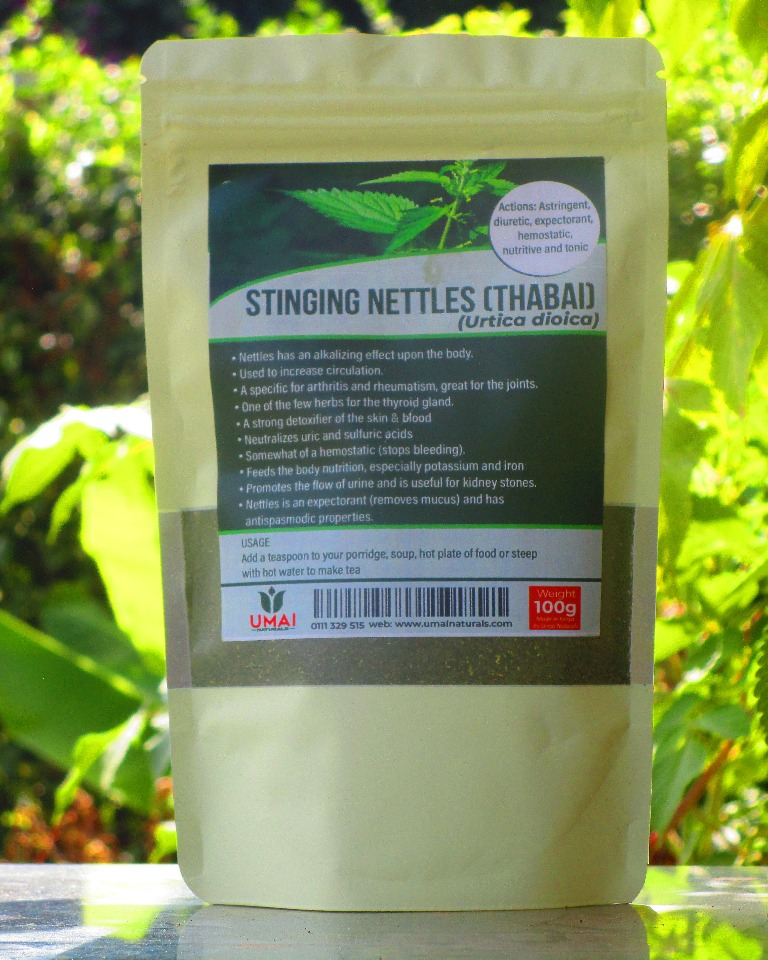 Stinging nettle