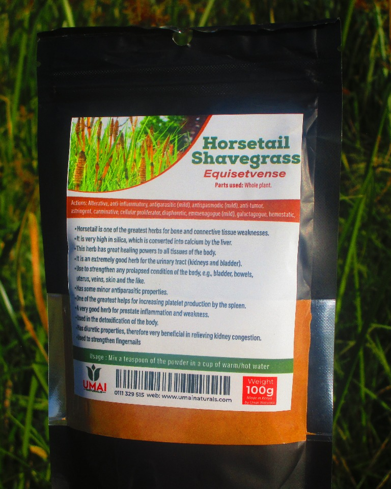 Horsetail / Shavegrass