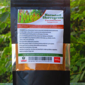 Horsetail / Shavegrass