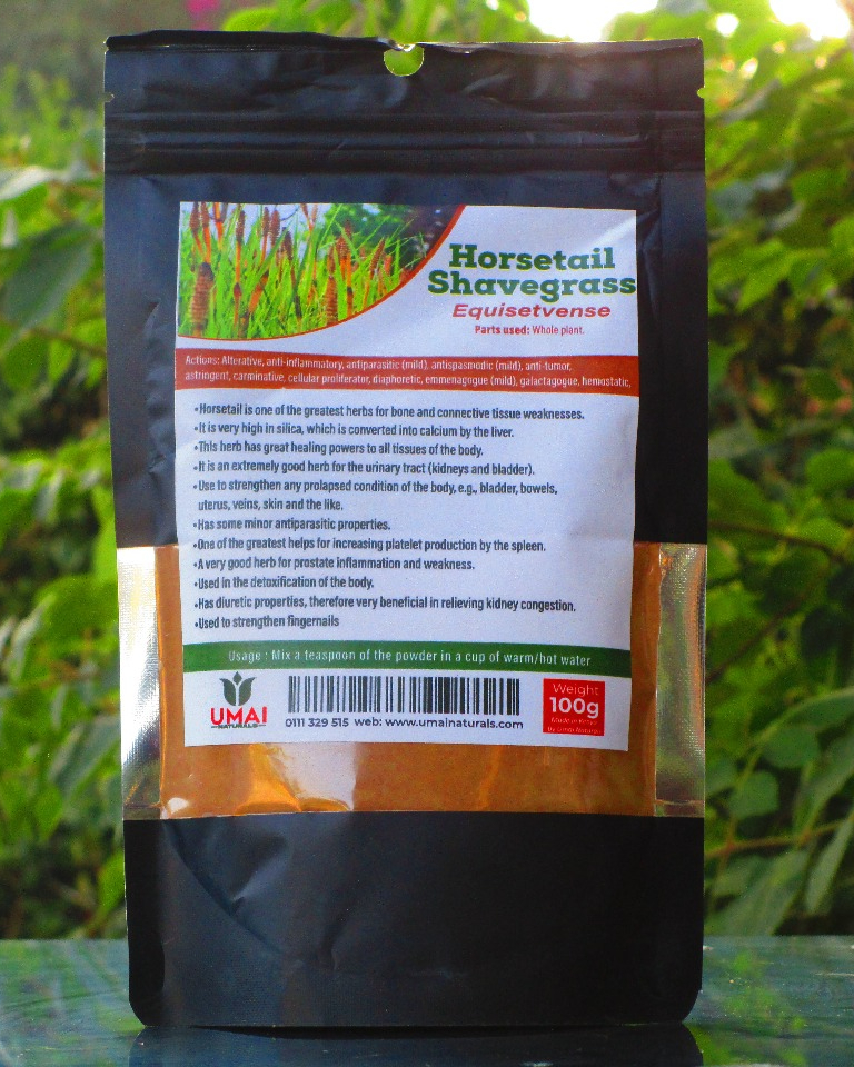 Horsetail / Shavegrass