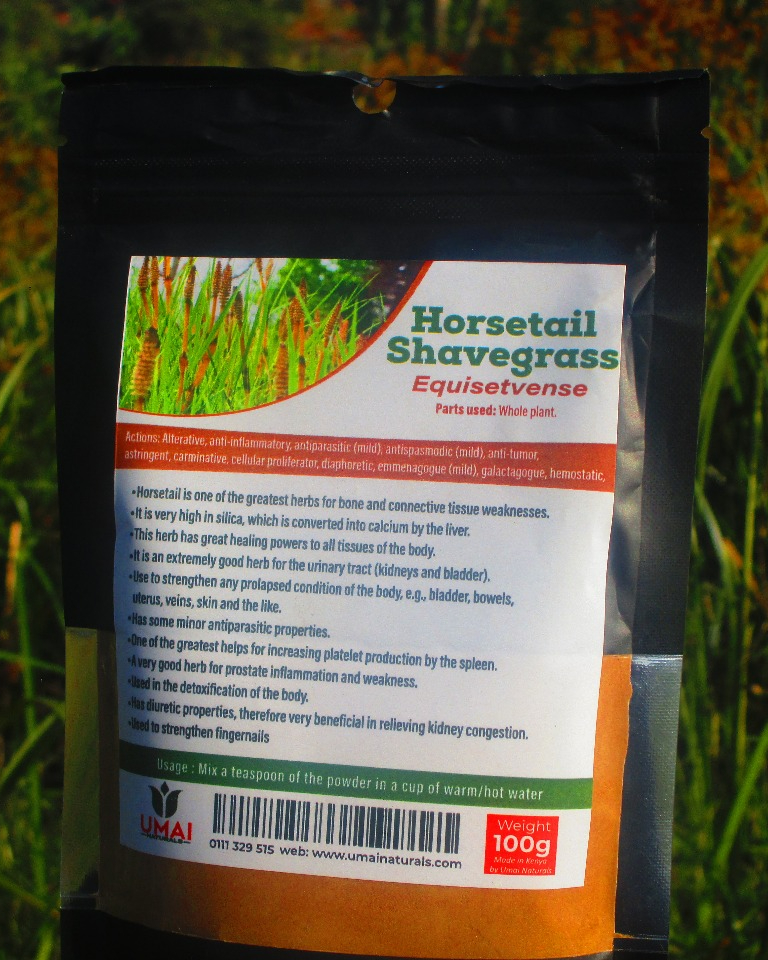 Horsetail / Shavegrass