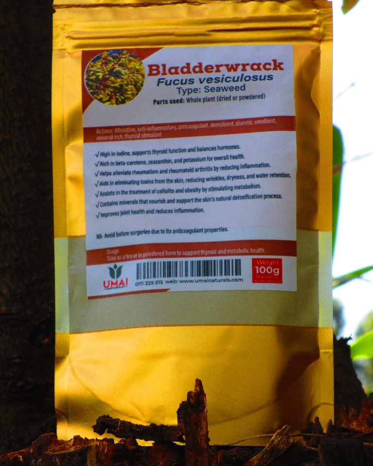 Bladderwrack