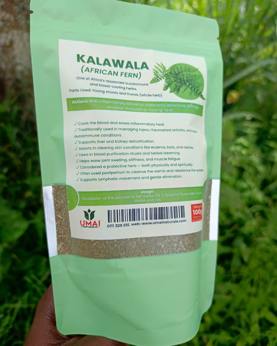 Kalawala (African fern)