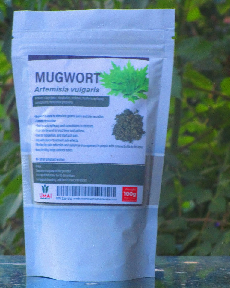 mugwort