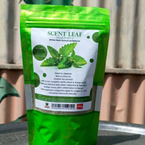 Scent leaf(African basil)
