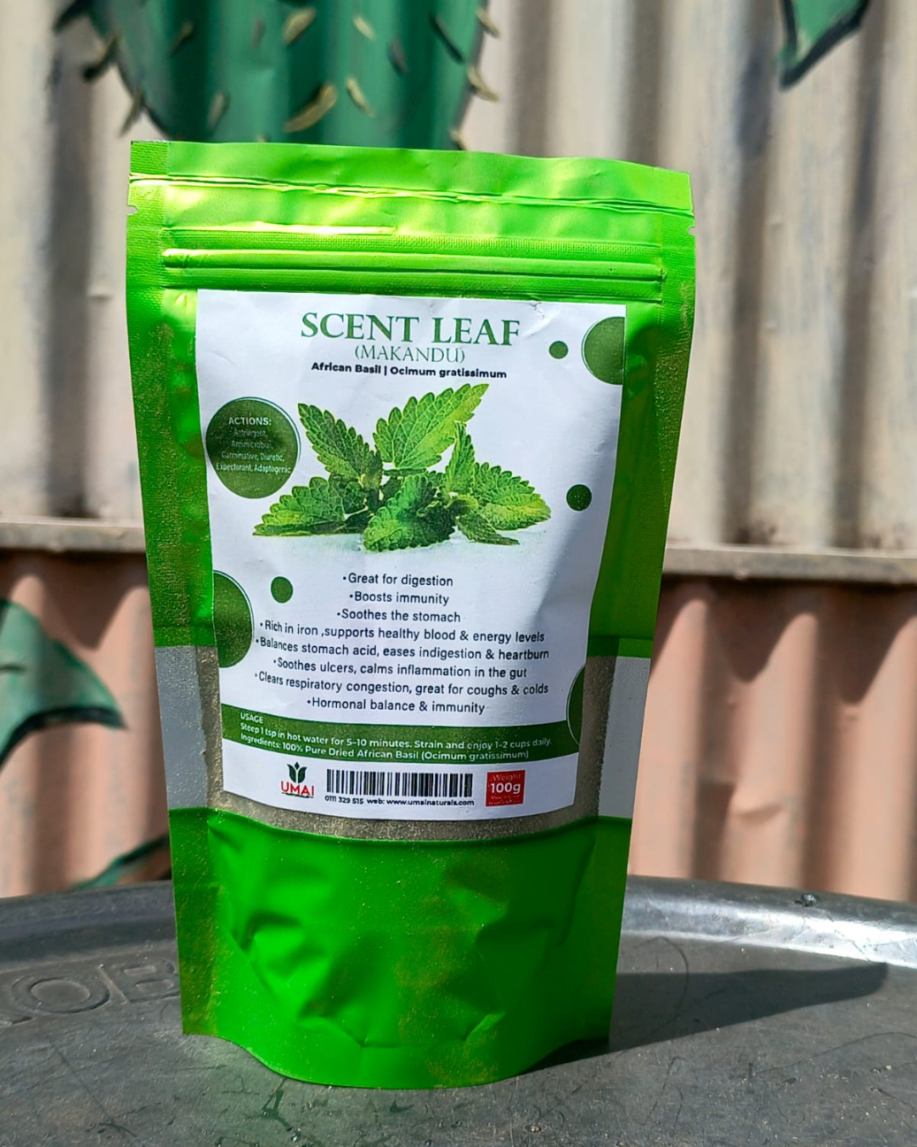 Scent leaf(African basil)